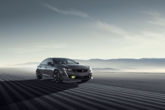 508PeugeotSE_AutoRok_2019__08
