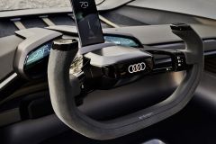 AudiAITrailquattro_AutoRok_2019_33