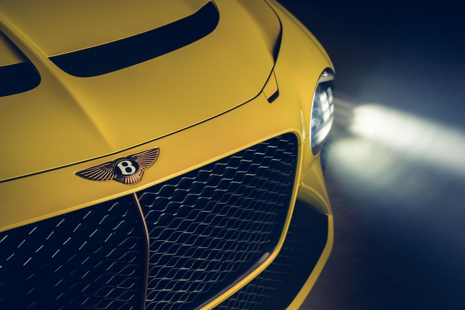 BentleyMullinerBacalar_2021_15