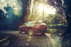 BMW_iNext_AutoRok_2018__11