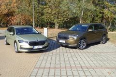 CaroftheYearPolska04