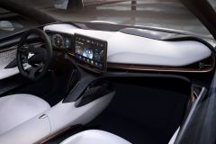 Cupra Tavascan AutoRok
