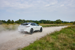 DS-4 E-Tense 225 Rivoli 2022  AutoRok