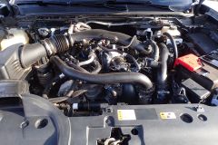 RaptorFord_2023_011