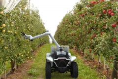 Honda_AllTerraiVehicle_2019_13