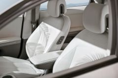 004_IONIQ_Lifestyle_LeafShadow