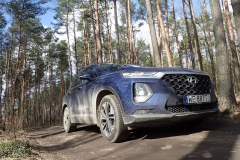HyundaiSantaFe_testAutoRok_2019_01