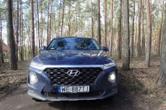 HyundaiSantaFe_testAutoRok_2019_10