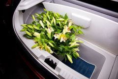 Izera_AutoRok_2020_34