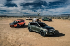 KiaTelluride_2019_AutoRok_03