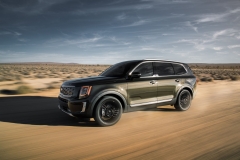 KiaTelluride_2019_AutoRok_07