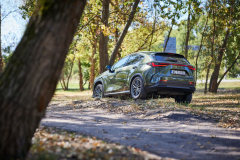 LexusNX_2022_testAutoRok_01