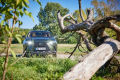 LexusNX_2022_testAutoRok_04