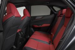LexusNX_2021_AutoRokTest_06