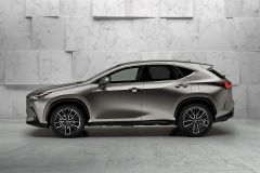LexusNX_2021_AutoRokTest_10