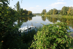 Cabrio_Nieporet_02
