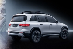 MercedesGLB_AutoRok_2019_07