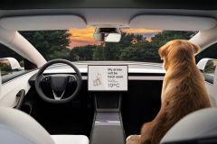 Teslamodel3_AutoRok_2023_11