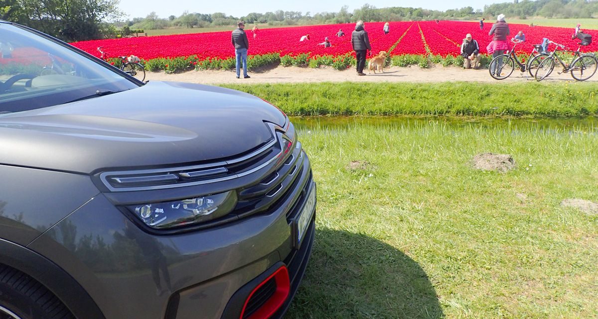 Citroen C5 Aircross – Na każdą porę roku i na każdą drogę