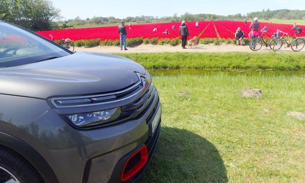 Citroen C5 Aircross –  Na każdą porę roku i na każdą drogę