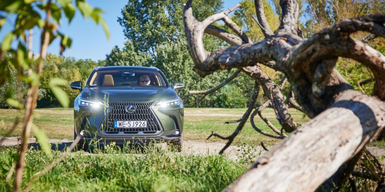 Lexus NX 350h E-Four – Khaki, ale nie nijaki