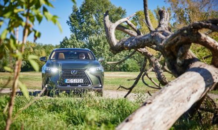 Lexus NX 350h E-Four – Khaki, ale nie nijaki