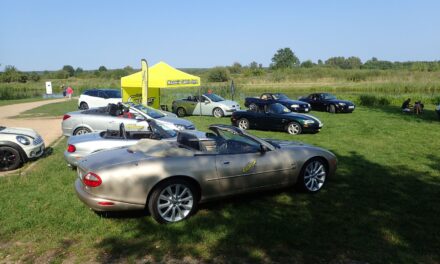 Mazovia Cabrio Style – Piknik w Wieliszewie