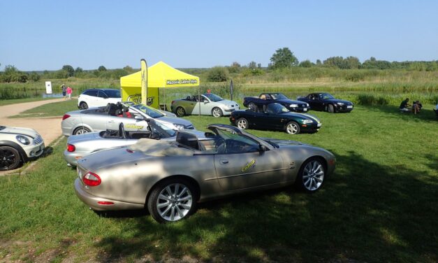Mazovia Cabrio Style – Piknik w Wieliszewie