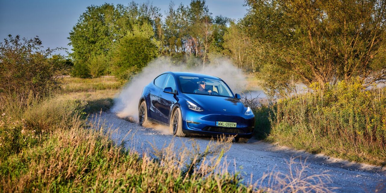 Tesla Model Y – Cztery łapy i dzióbek